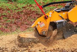 Best Tree Mulching  in Algona, WA